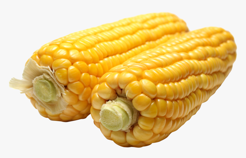 Corn Png Image - Maize Png, Transparent Png