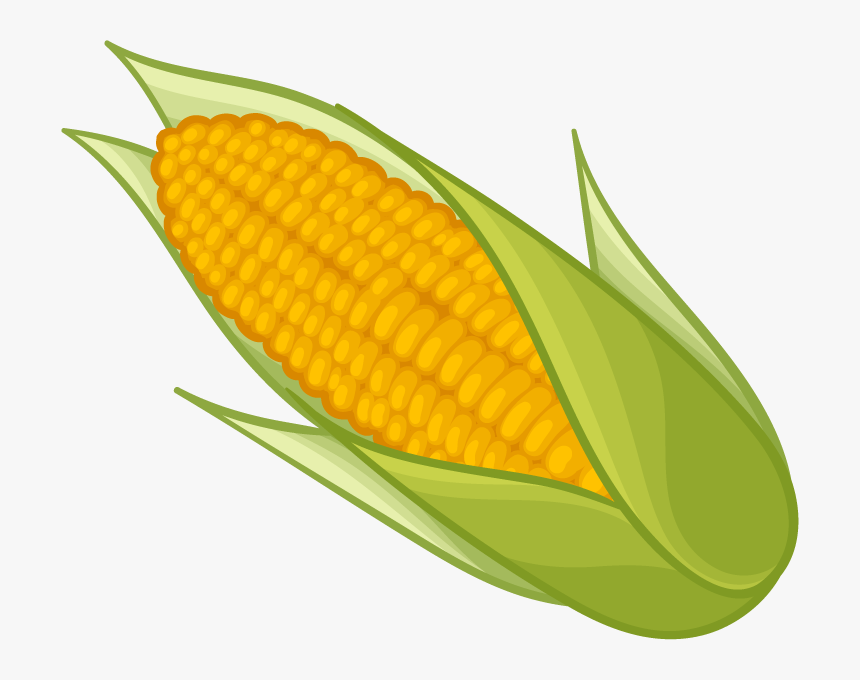 Corn Png Transparent Images Png Only - Transparent Background Corn Clipart, Png Download