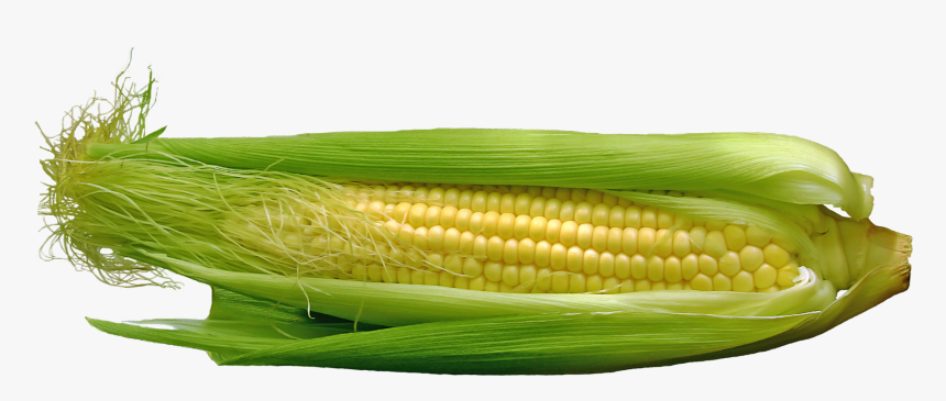 Corn Png, Transparent Png