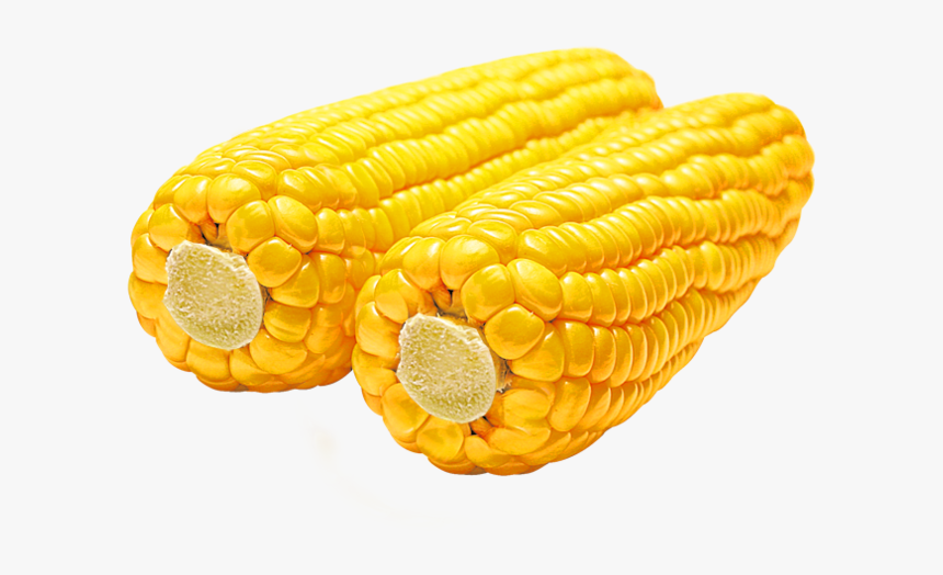 Corn .png, Transparent Png