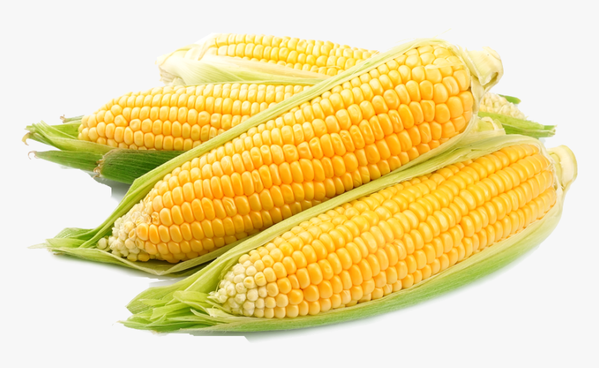 Corn Png Free Images - Una Receta Que Tenga Al Maíz Como Su Principal Ingrediente, Transparent Png