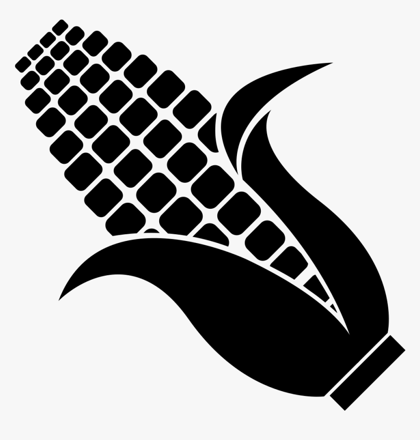 Corn Png Free - Black And White Corn Cob Clipart, Transparent Png