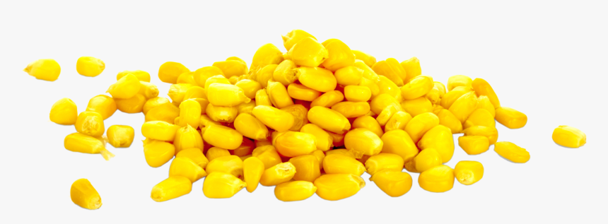 Corn On The Cob, HD Png Download