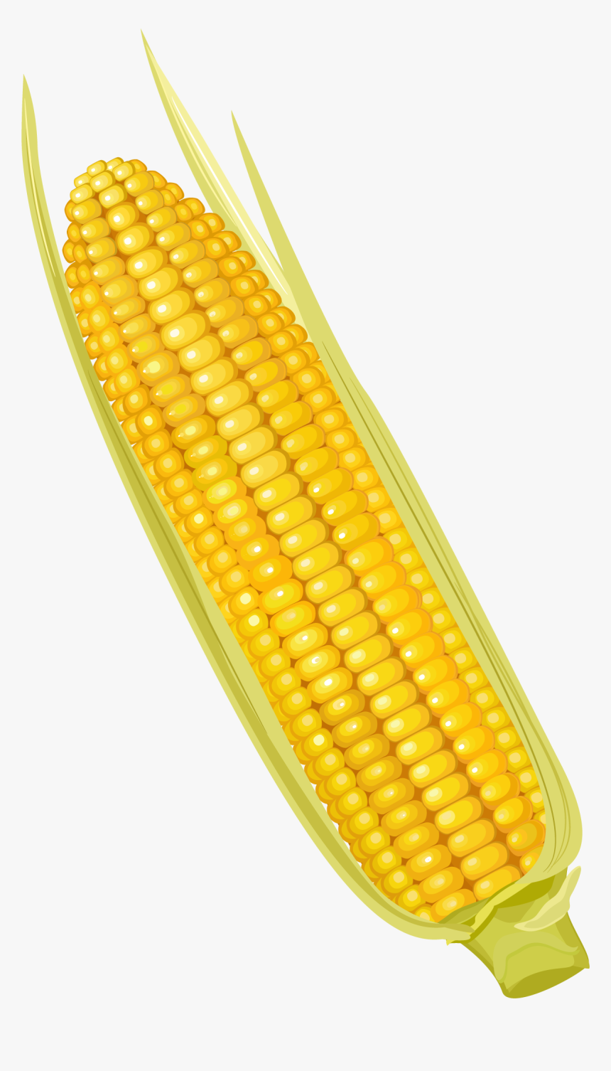 Corn On The Cob Maize Corncob Vegetable - Yellow Corn Clipart, HD Png Download
