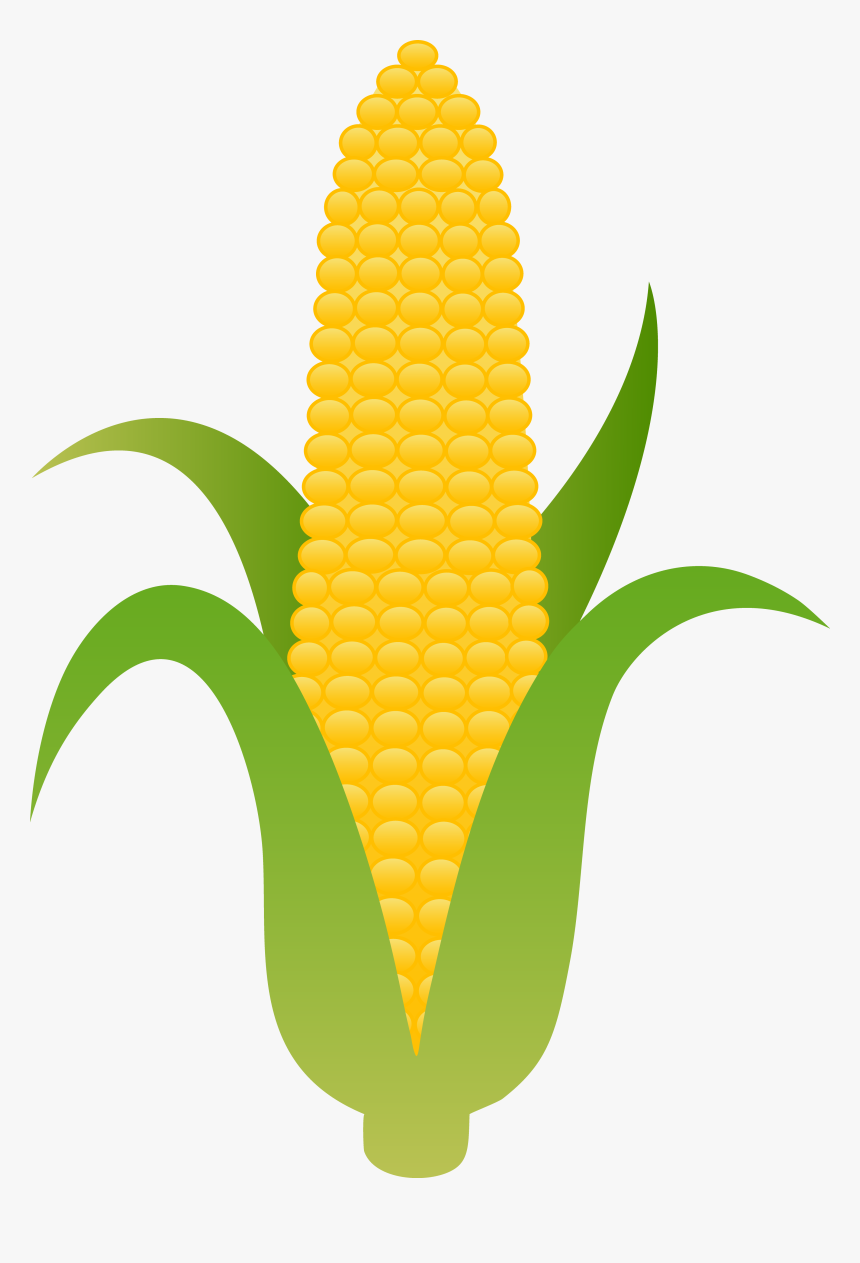 Candy Corn Candyrn Clip Art Rn Vegetable - Clip Art Ear Of Corn, HD Png Download