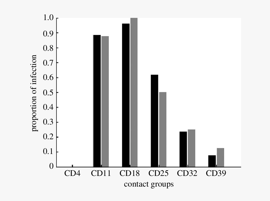 City, HD Png Download