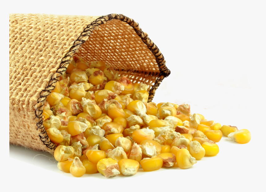 Corn Oil, HD Png Download