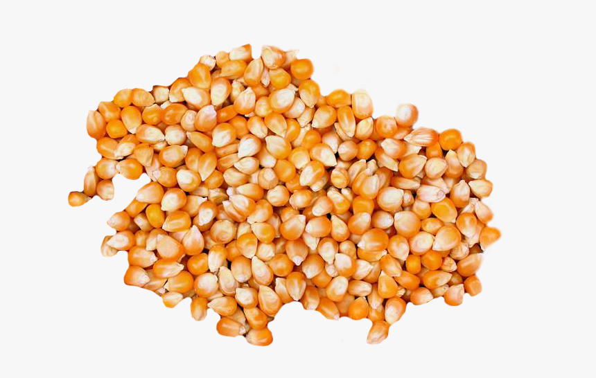 Popcorn, HD Png Download