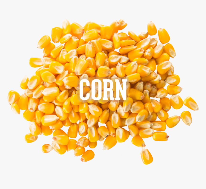 Corn Kernels, HD Png Download