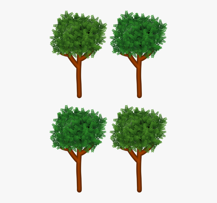 Evergreen,plant,shrub - Post Oak, HD Png Download