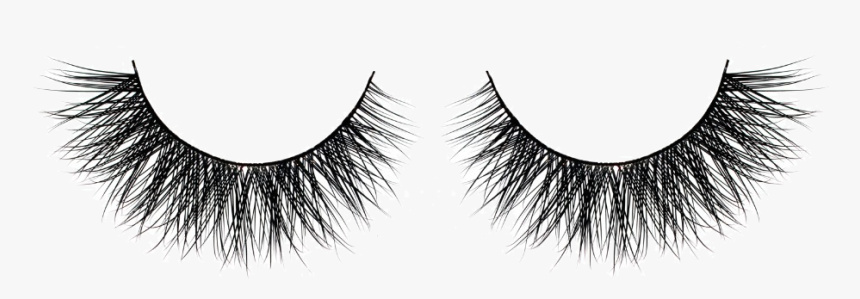 Cruelty-free Eyelash Extensions Beauty Hair - Transparent Background Eyelash Transparent, HD Png Download