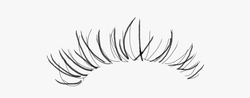 #eyelashes #eyelash Flip These If U R Using For The - Line Art, HD Png Download