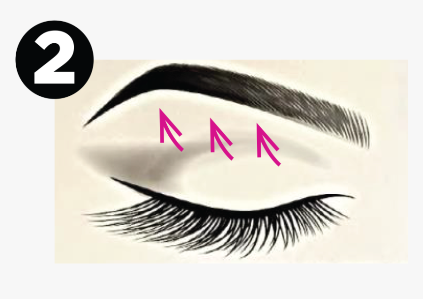 Transparent Eyelashes Png - Eyelash, Png Download