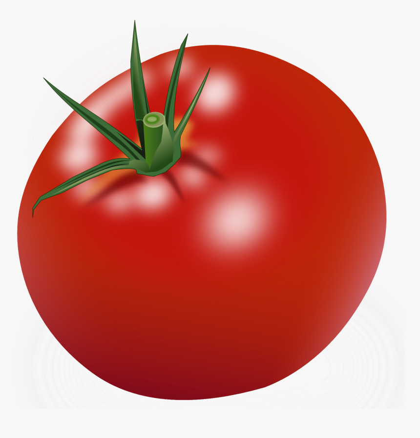 Tomato Clipart, HD Png Download