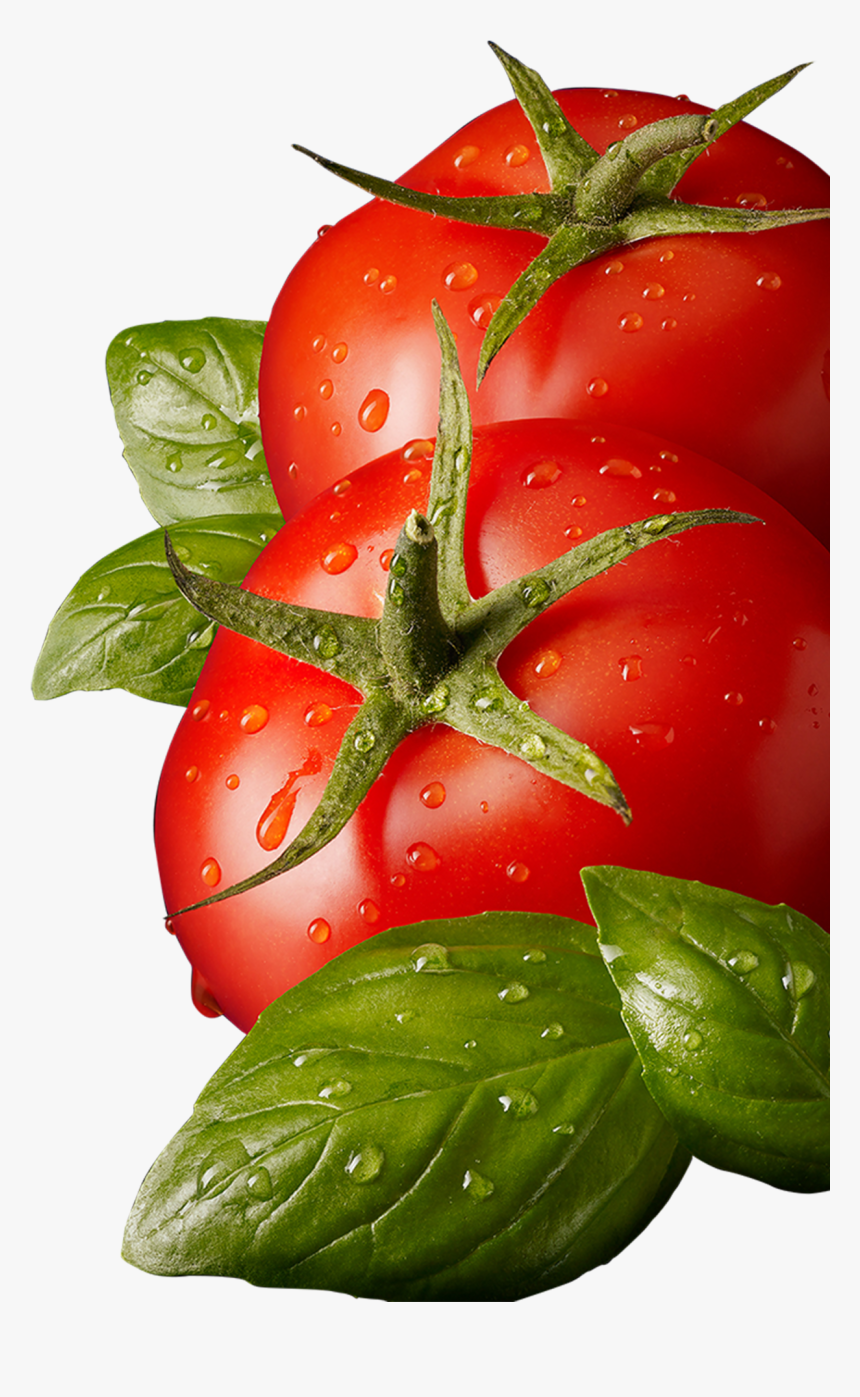 Tomato Png - Tomatoepng, Transparent Png
