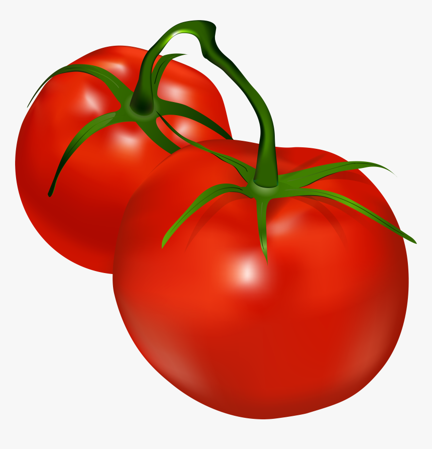 Tomato Clip Transparent Background, HD Png Download