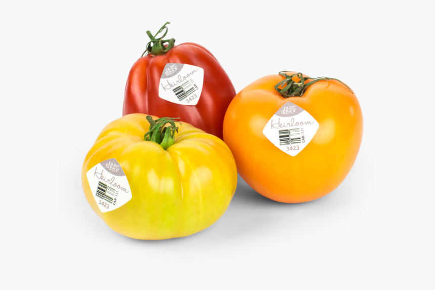 Tomato Png One - Heirloom Tomatoes Yellow Transparent, Png Download