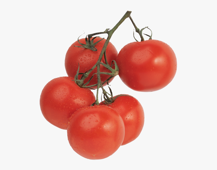 Transparent Tomato Png - Помидоры Картинки Для Детей, Png Download