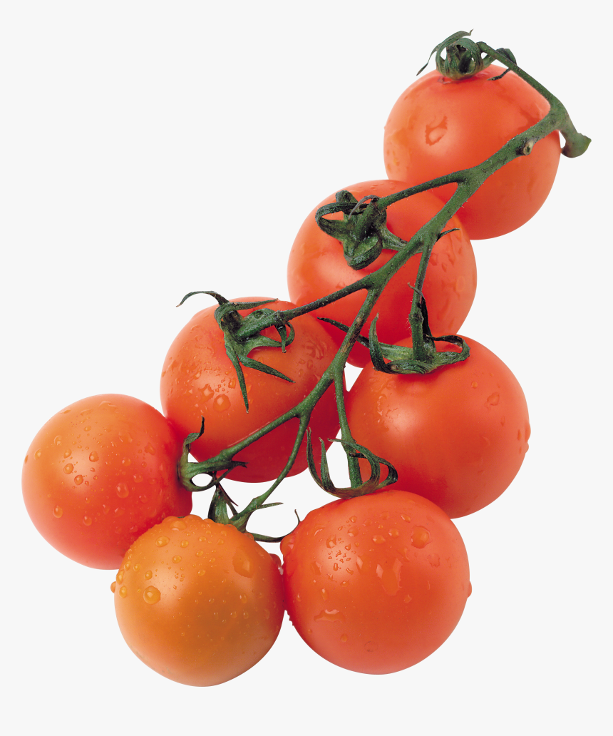 Tomato, HD Png Download