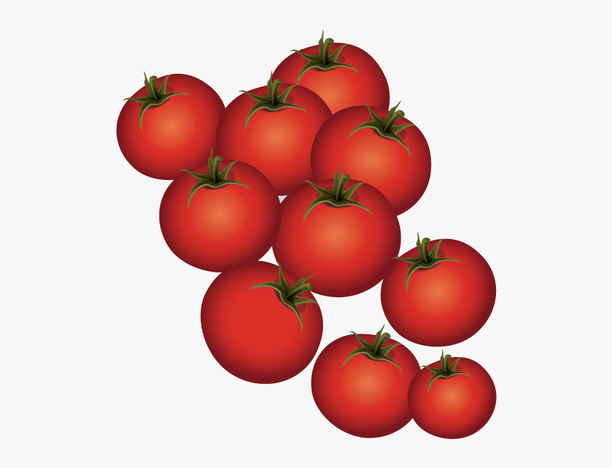 Plum Tomato Bush Tomato - Cherry Tomatoes, HD Png Download