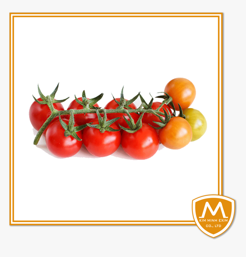 Cherry-tomato - Plum Tomato, HD Png Download