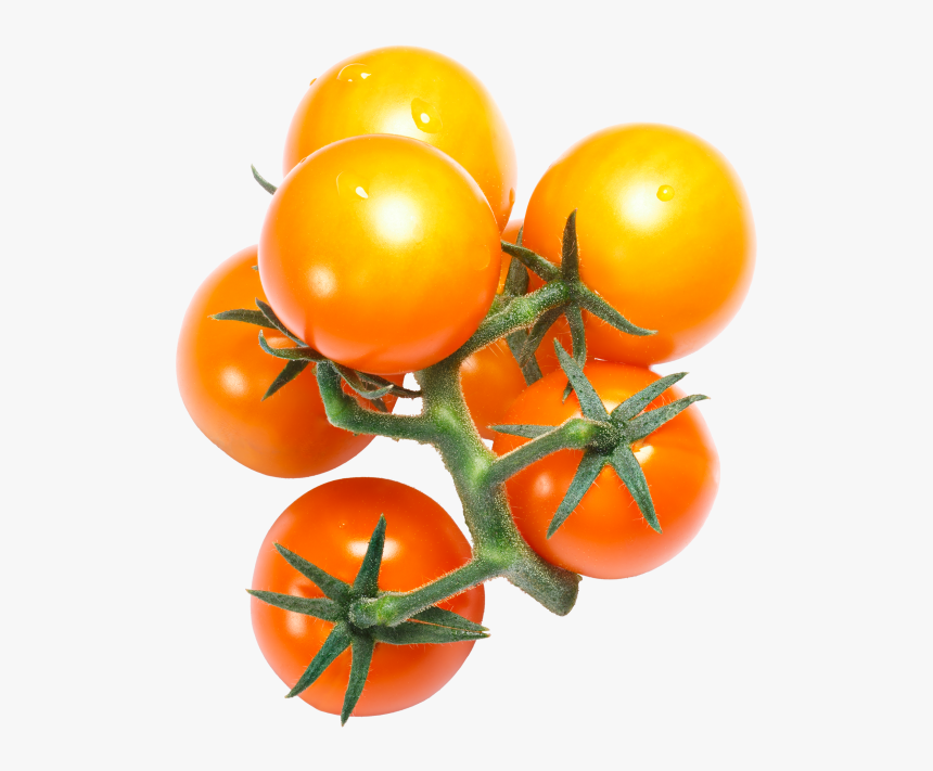 Cherry Tomato - Cherry Tomatoes, HD Png Download