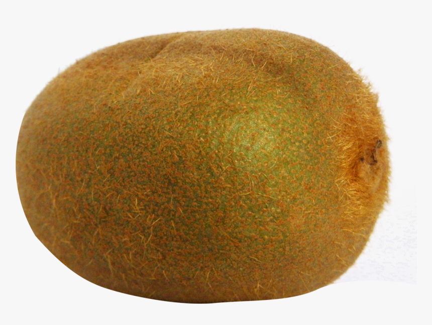 Kiwi Fruit Png File - Real Kiwi Png, Transparent Png