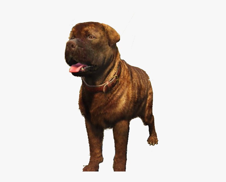 Companion Dog, HD Png Download