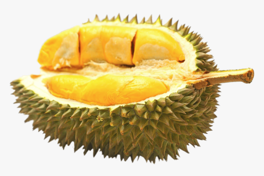 Half Durian Fruit - Durian Png, Transparent Png