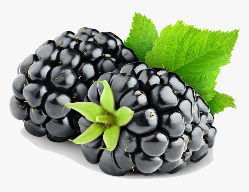 Download Blackberry Fruit Png Hd - Blackberry Fruit Png, Transparent Png