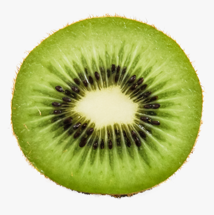Kiwi Fruit Png Transparent Image - Kiwi Png, Png Download