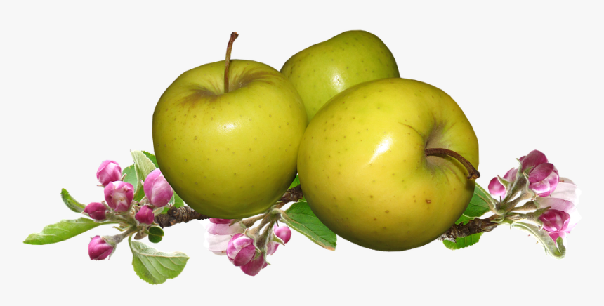 Granny Smith, HD Png Download