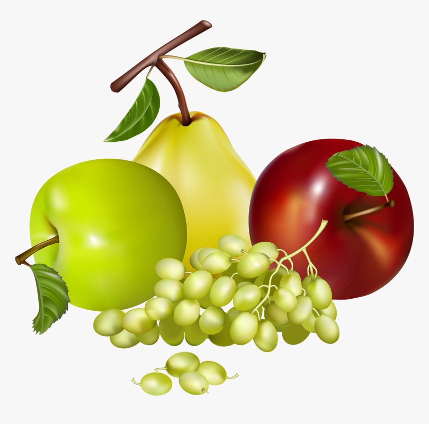 Mixed Fruits Png Clipart Best Web Clipart Pics - Fruit Clipart Png, Transparent Png