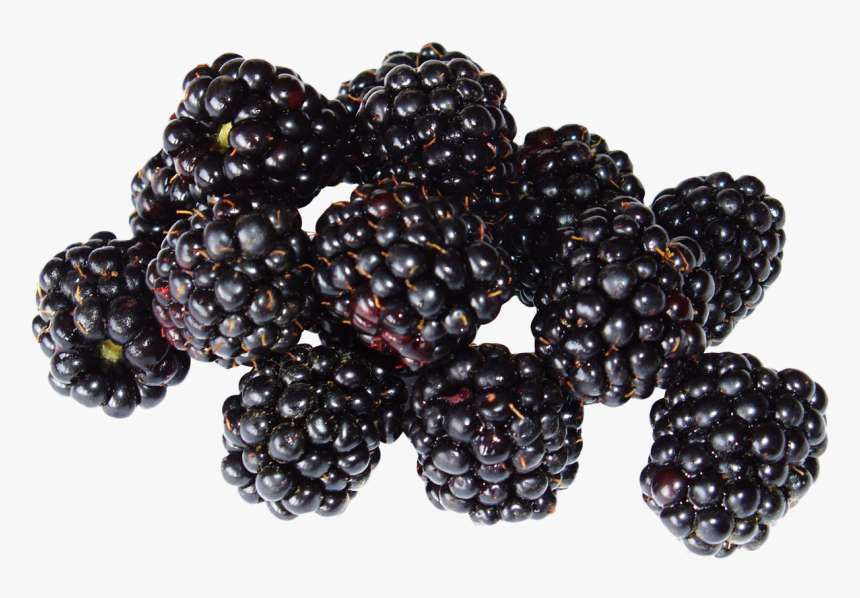 Blackberry Png - Black Berry Png, Transparent Png