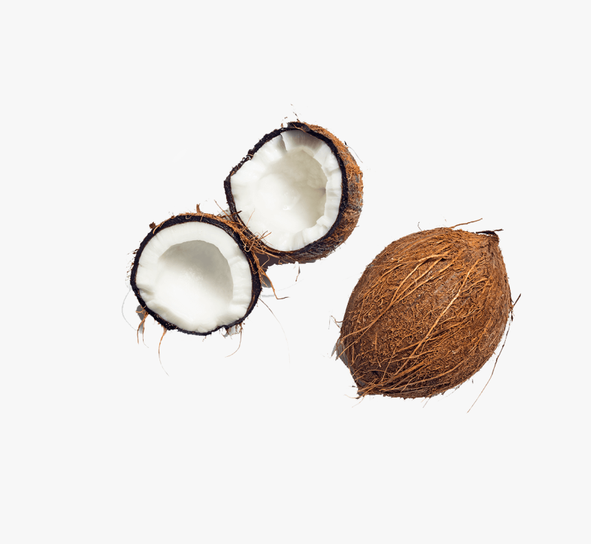 Coconut Free Transparent Images - Circle, HD Png Download