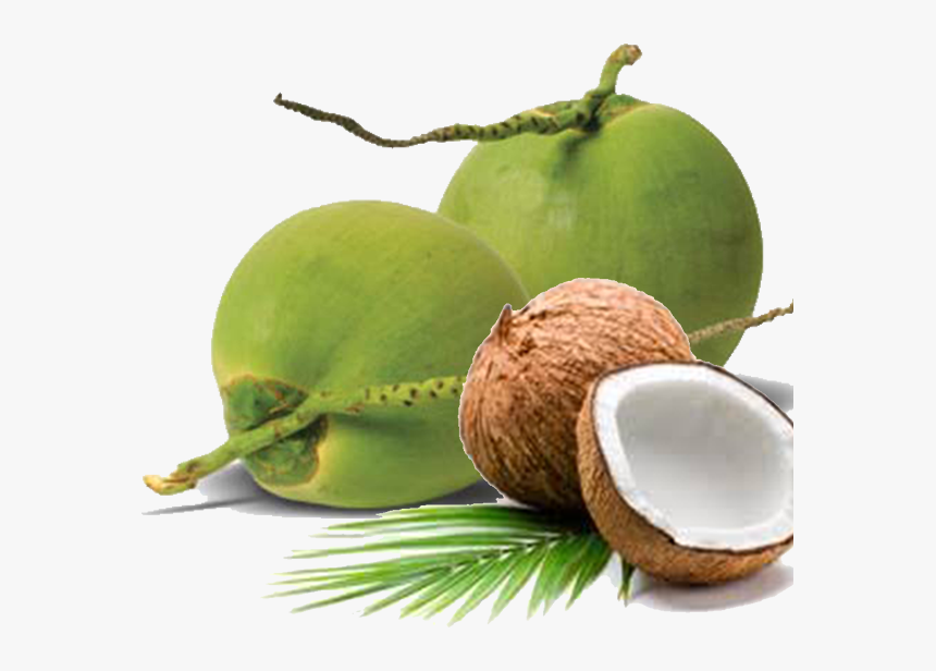 We Are Able To Ensure Stability In Our Supply Chain - Tender Coconut Png, Transparent Png