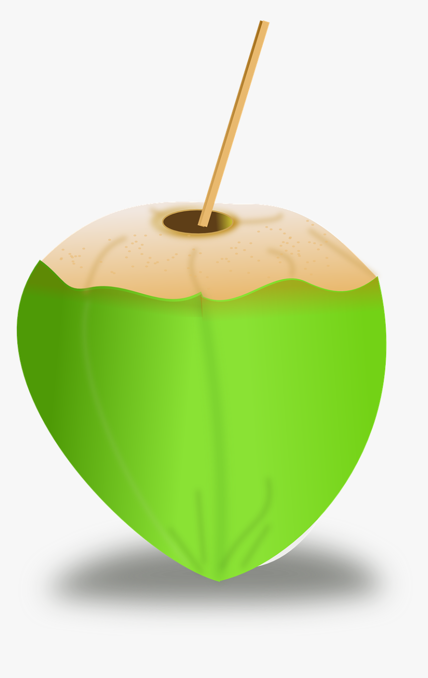 Desenho De Coco Png, Transparent Png