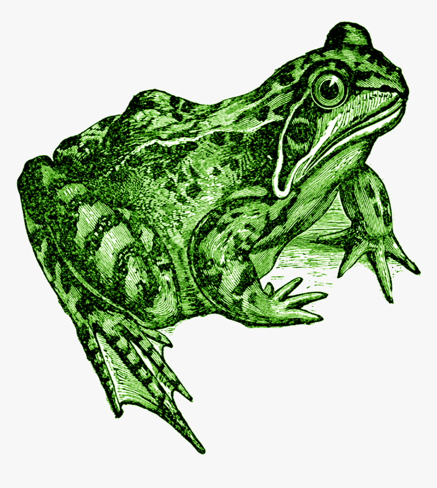 Violent Femmes 2018 Tour Poster, HD Png Download