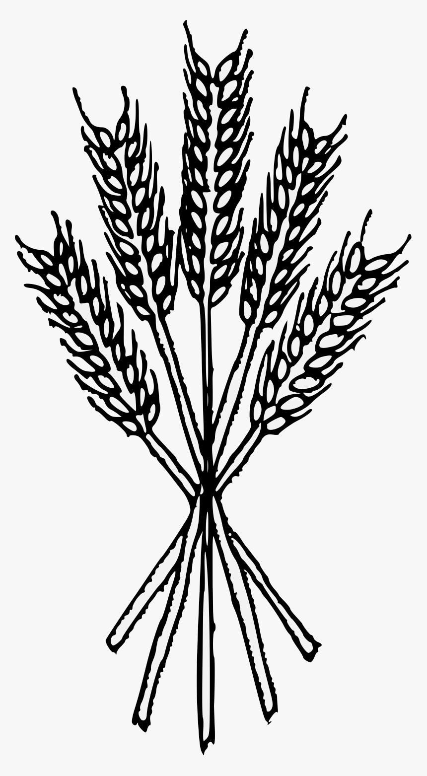 Wheat Png Black And White, Transparent Png