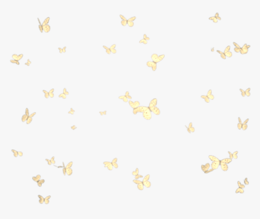 Butterflies Mariposas Mariposa Butterfly Group Grupo - Group Butterflies Png Transparent, Png Download