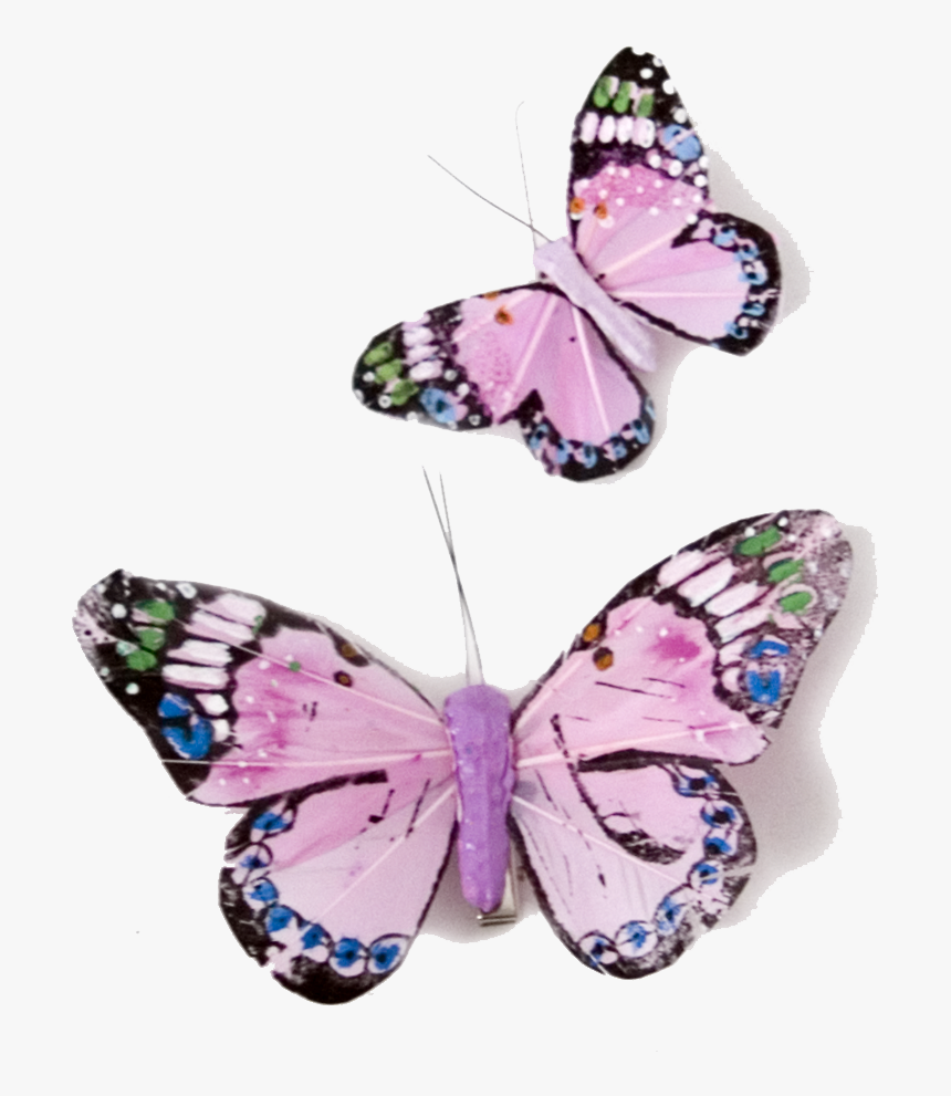 Pink Butterflies Png - Purple Pink Butterflies Transparent, Png Download