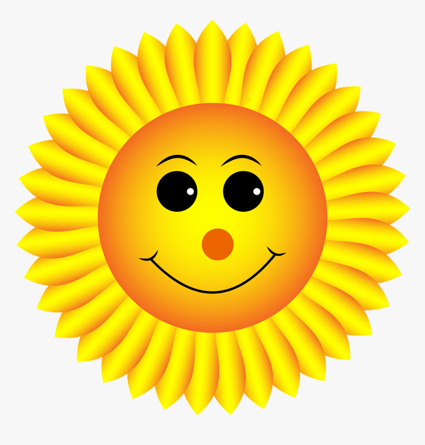 Smiley Sunflower, HD Png Download