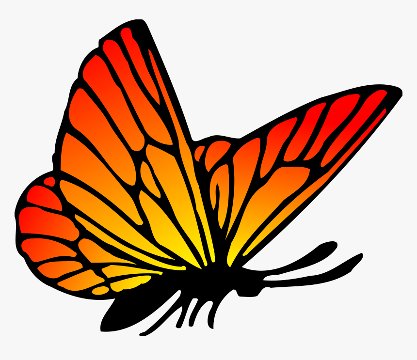 Butterfly Drawing Png, Transparent Png