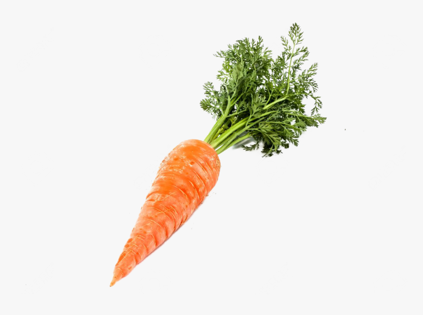 Single Carrot Png Image - Transparent Background Carrot Png, Png Download