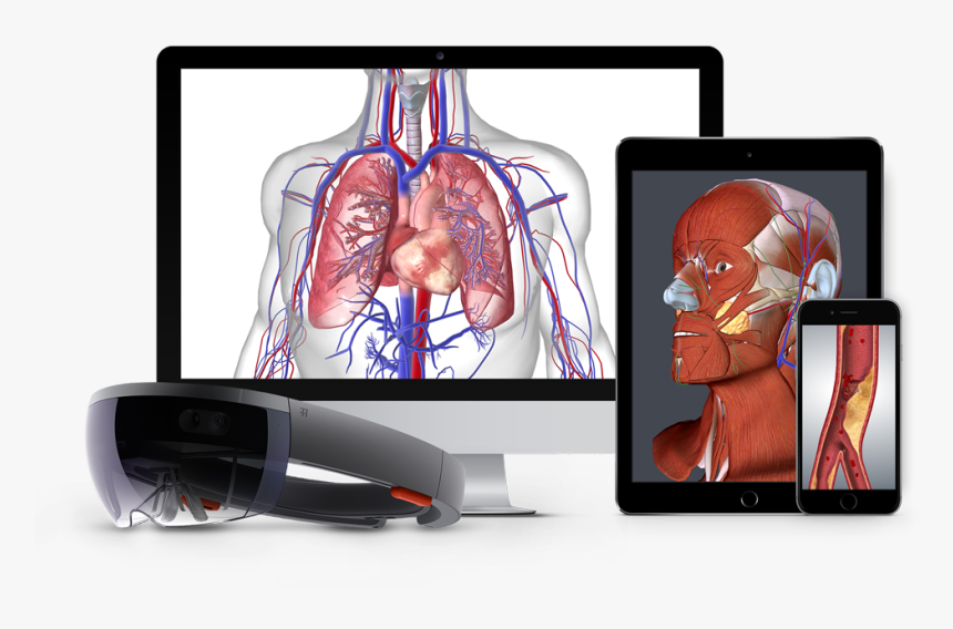 Come È Fatto Il Cuore, HD Png Download