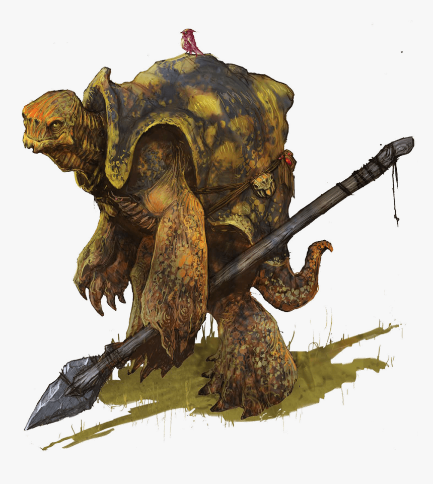 Tortle Package, HD Png Download