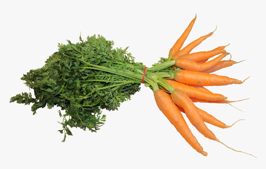 Fresh Carrot Png, Transparent Png
