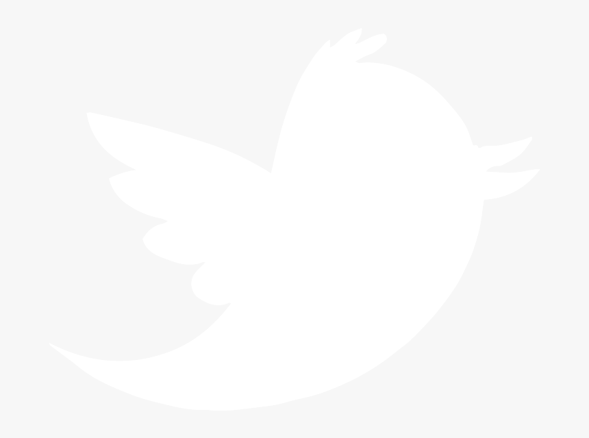 Black Transparent Twitter Logo - Twitter Bird, HD Png Download