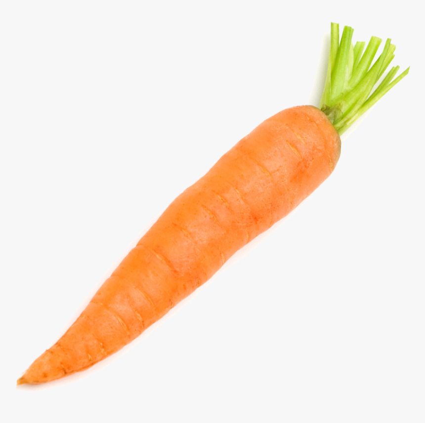 Carrot Vegetable Radish - Carrot On A White Background, HD Png Download