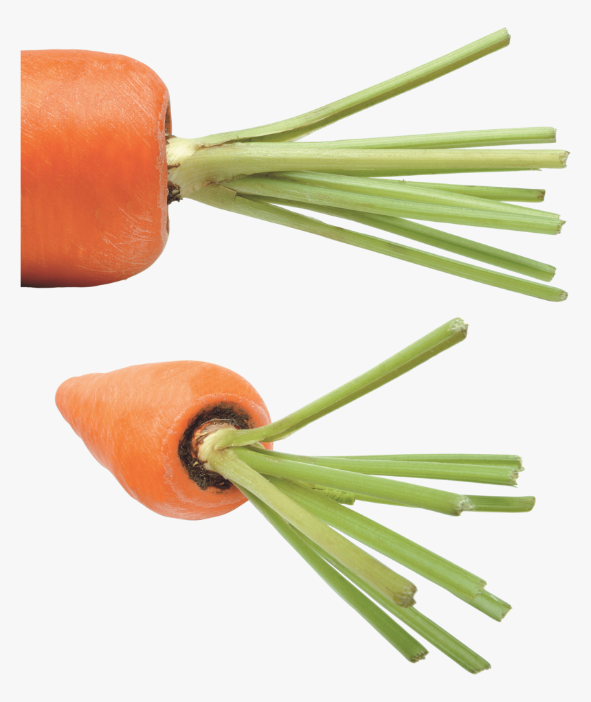 Carrot, HD Png Download